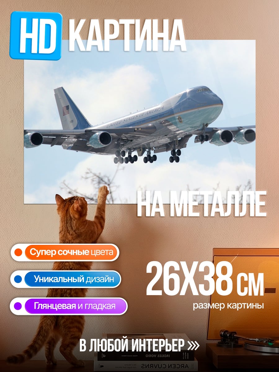 Картина на металле Самолет в небе