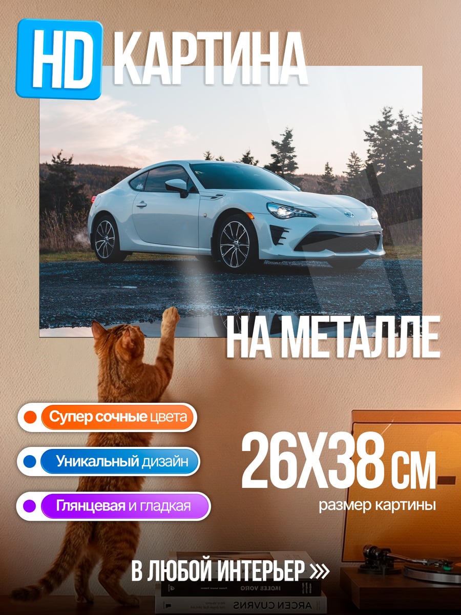 Картина на металле Белое спорт купе