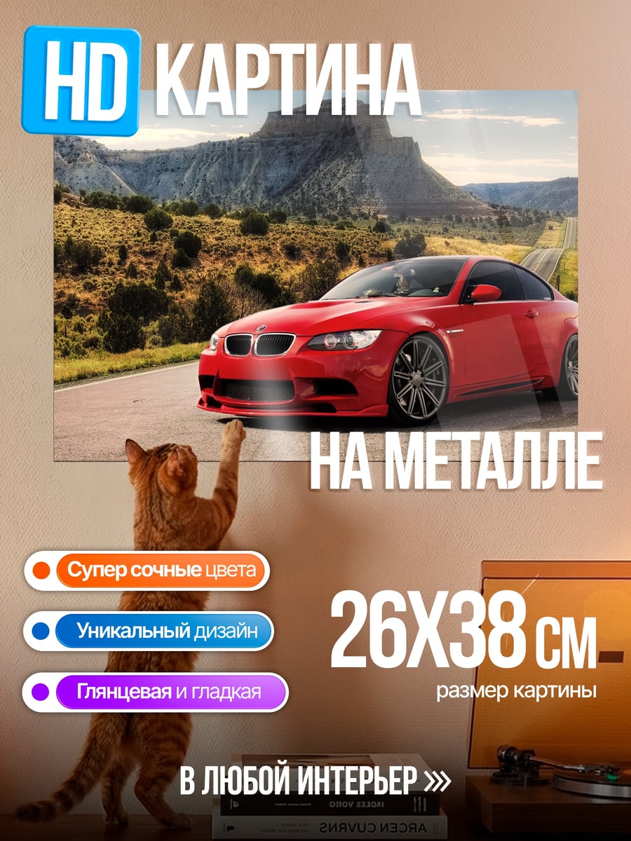 Картина на металле Красное купе дорога