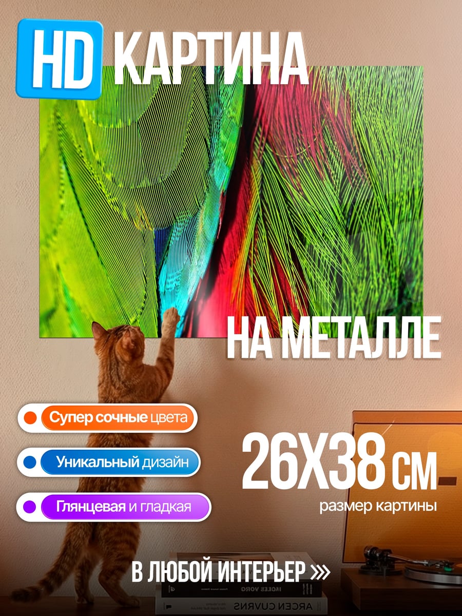 Картина на металле Крупный план перьев