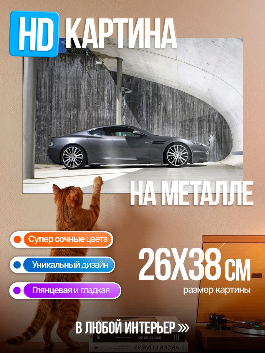 Картина на металле Спортивное купе