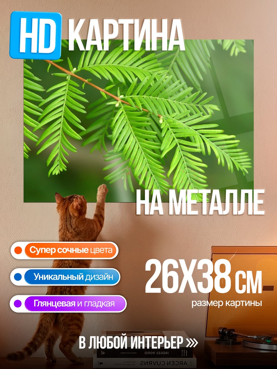 Картина на металле Зеленая хвоя