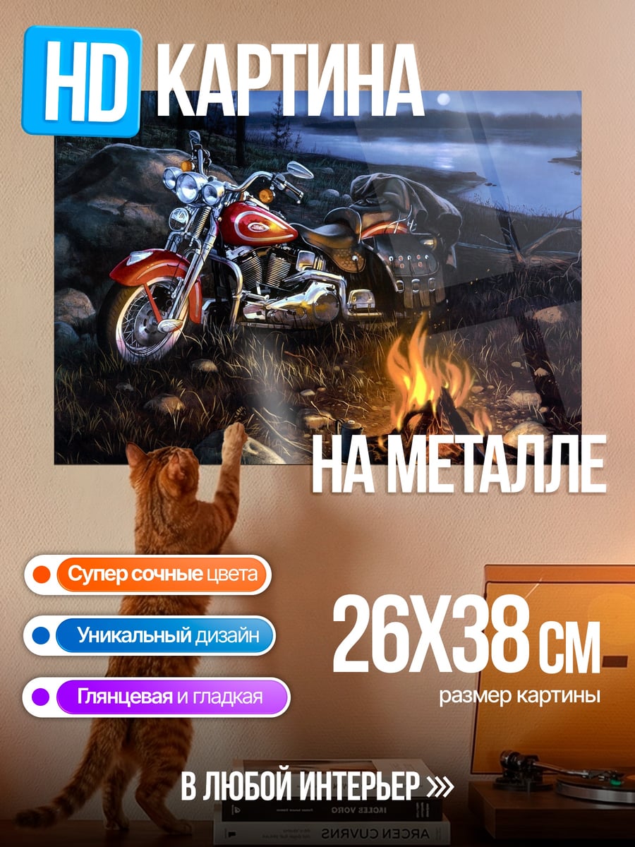 Картина на металле Ночной костер байкера
