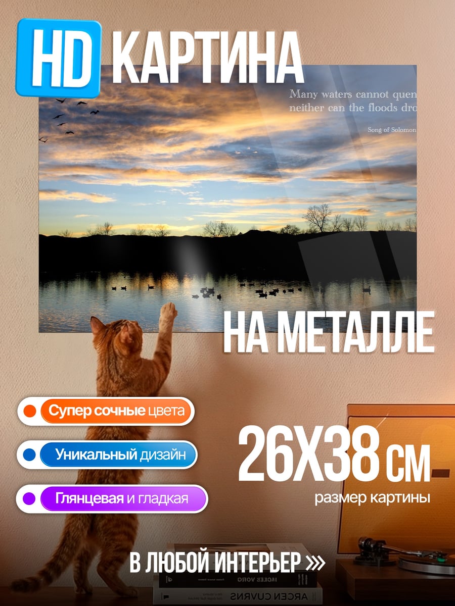 Картина на металле Закат над озером