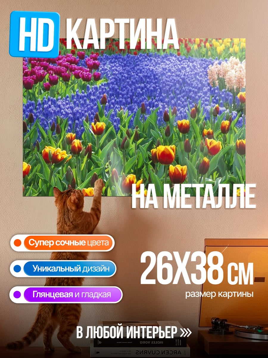Картина на металле Цветочная поляна тюльпанов