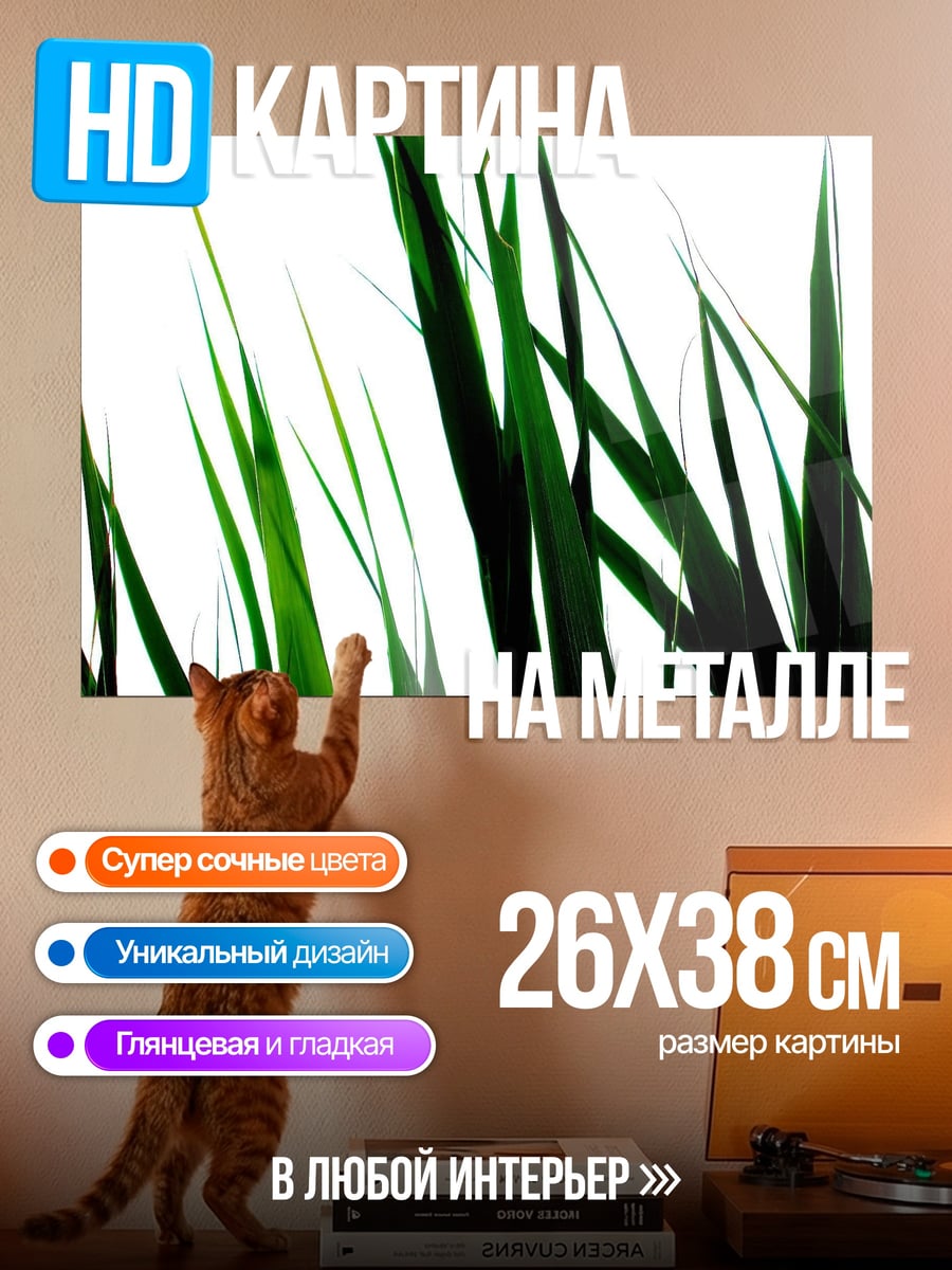 Картина на металле Зеленые травинки