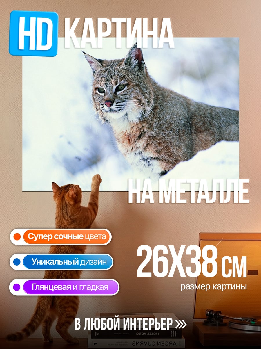Картина на металле Рысь в снегу