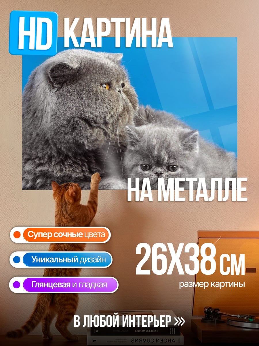 Картина на металле Две кошки