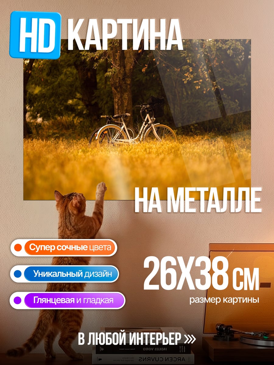 Картина на металле Велосипед в парке