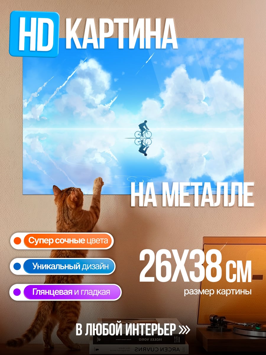 Картина на металле Велосипед в небе