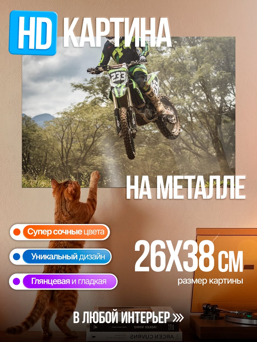 Картина на металле Мотоциклист прыжок трюк