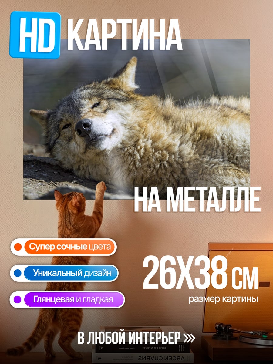 Картина на металле Спящий волк на солнце