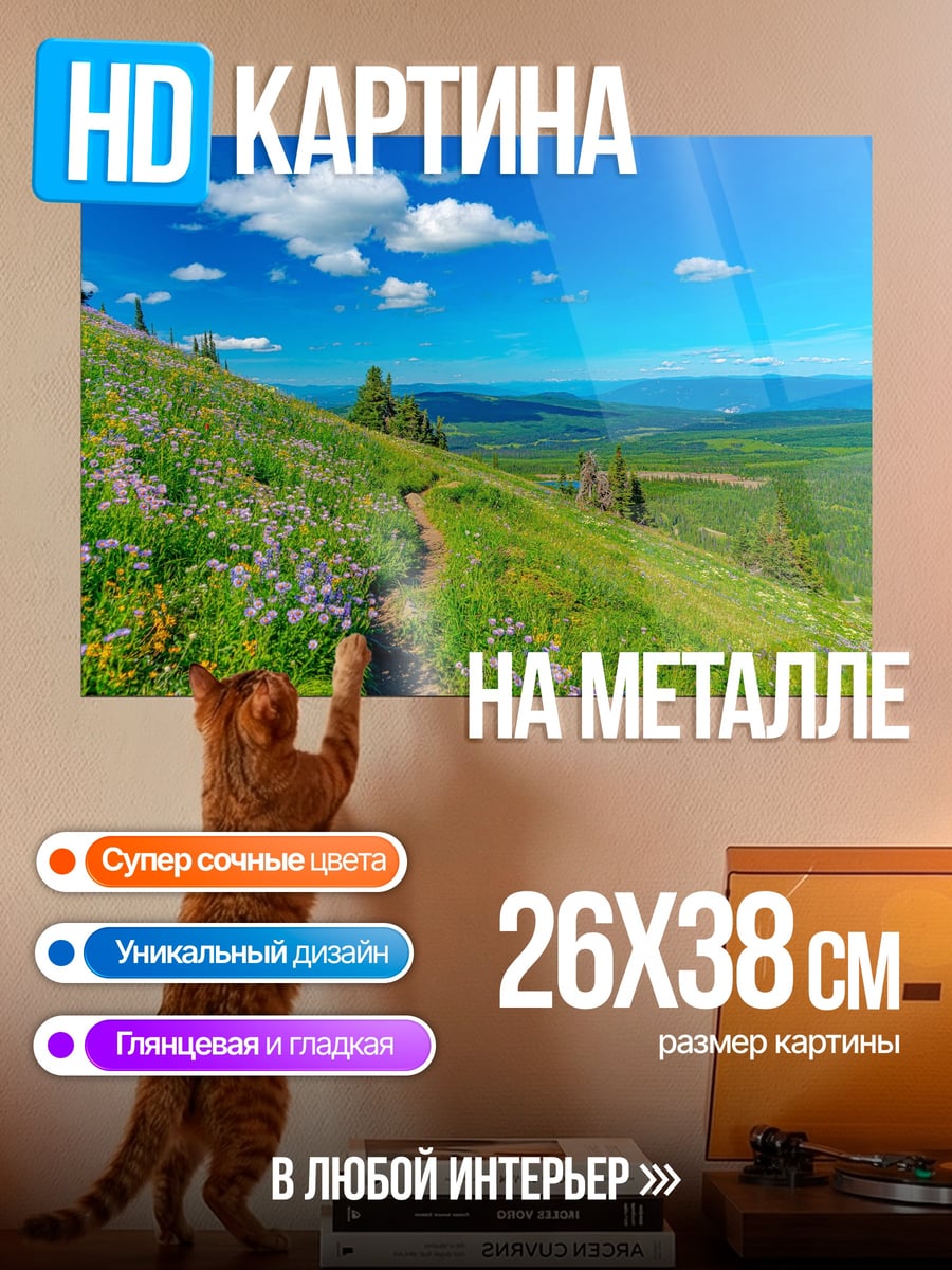 Картина на металле Цветочная поляна в горах