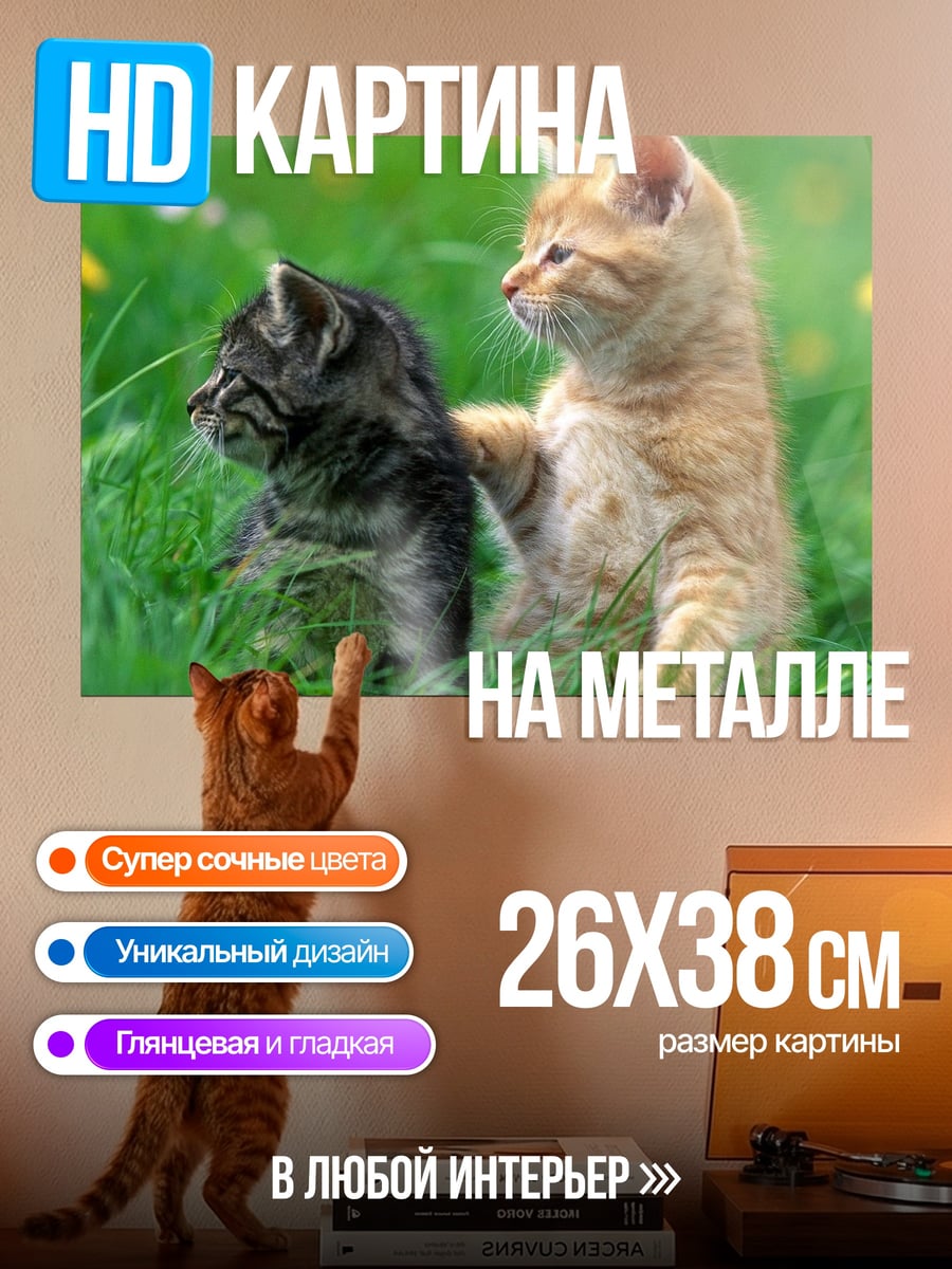Картина на металле Два котенка