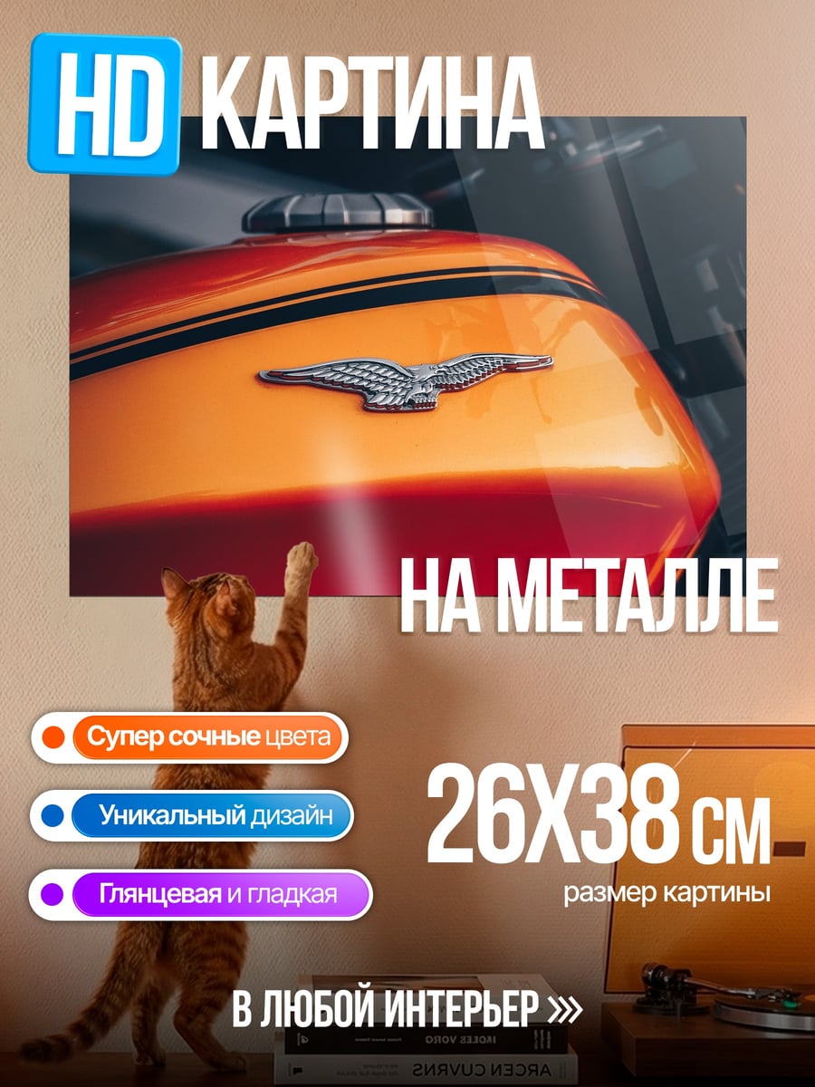 Картина на металле Мотоцикл с орлом