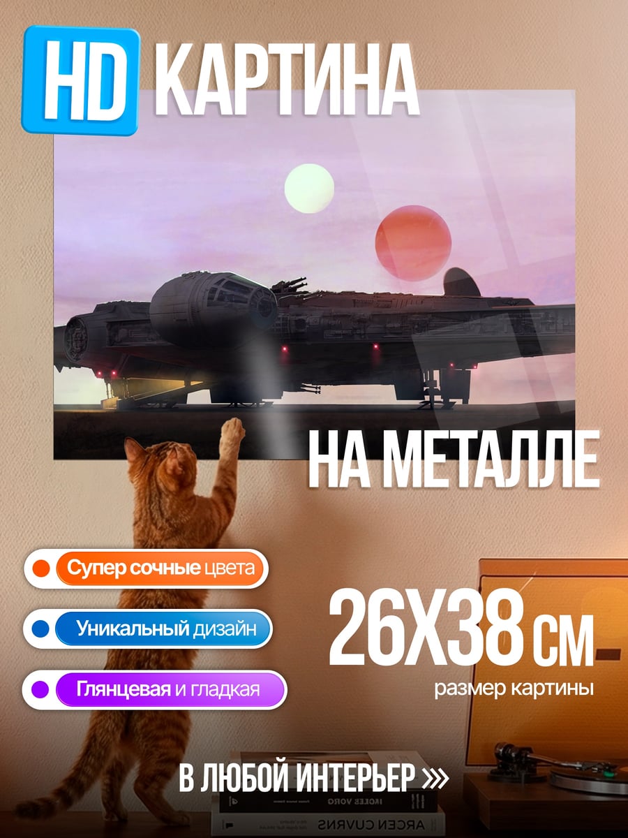Картина на металле Сокол Тысячелетия