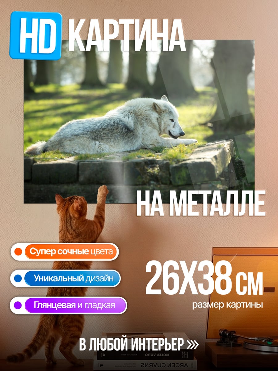 Картина на металле Белый волк на поляне