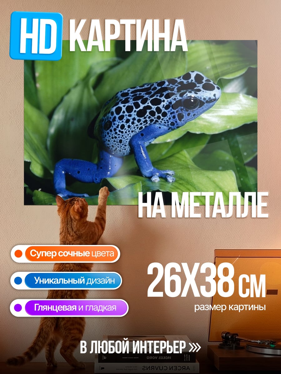 Картина на металле Синяя древолазная лягушка