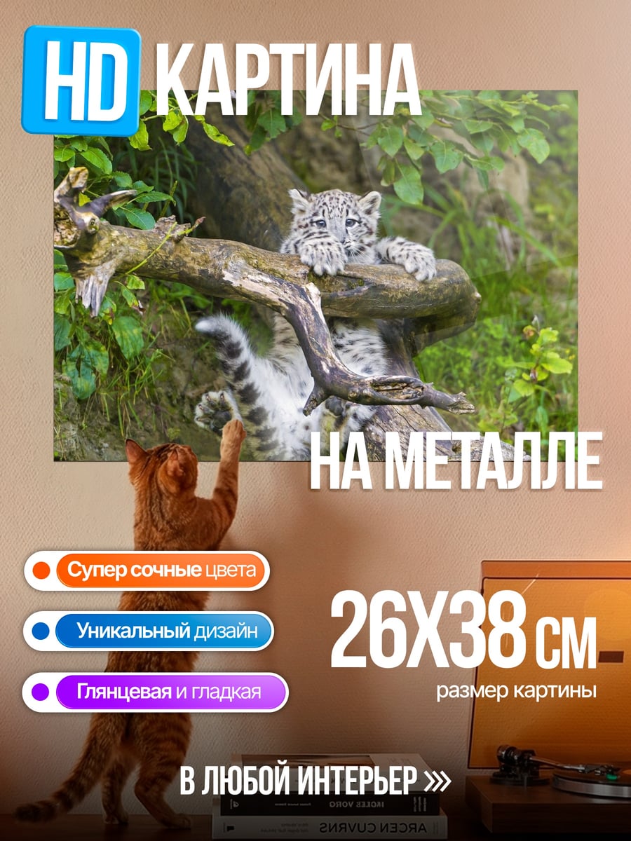 Картина на металле Снежный барс на ветке