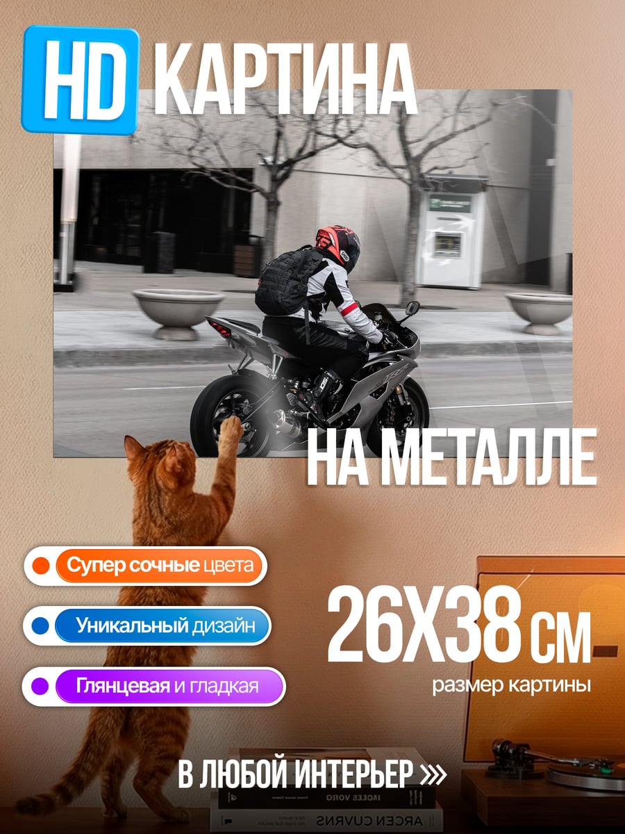 Картина на металле Мотоциклист в городе