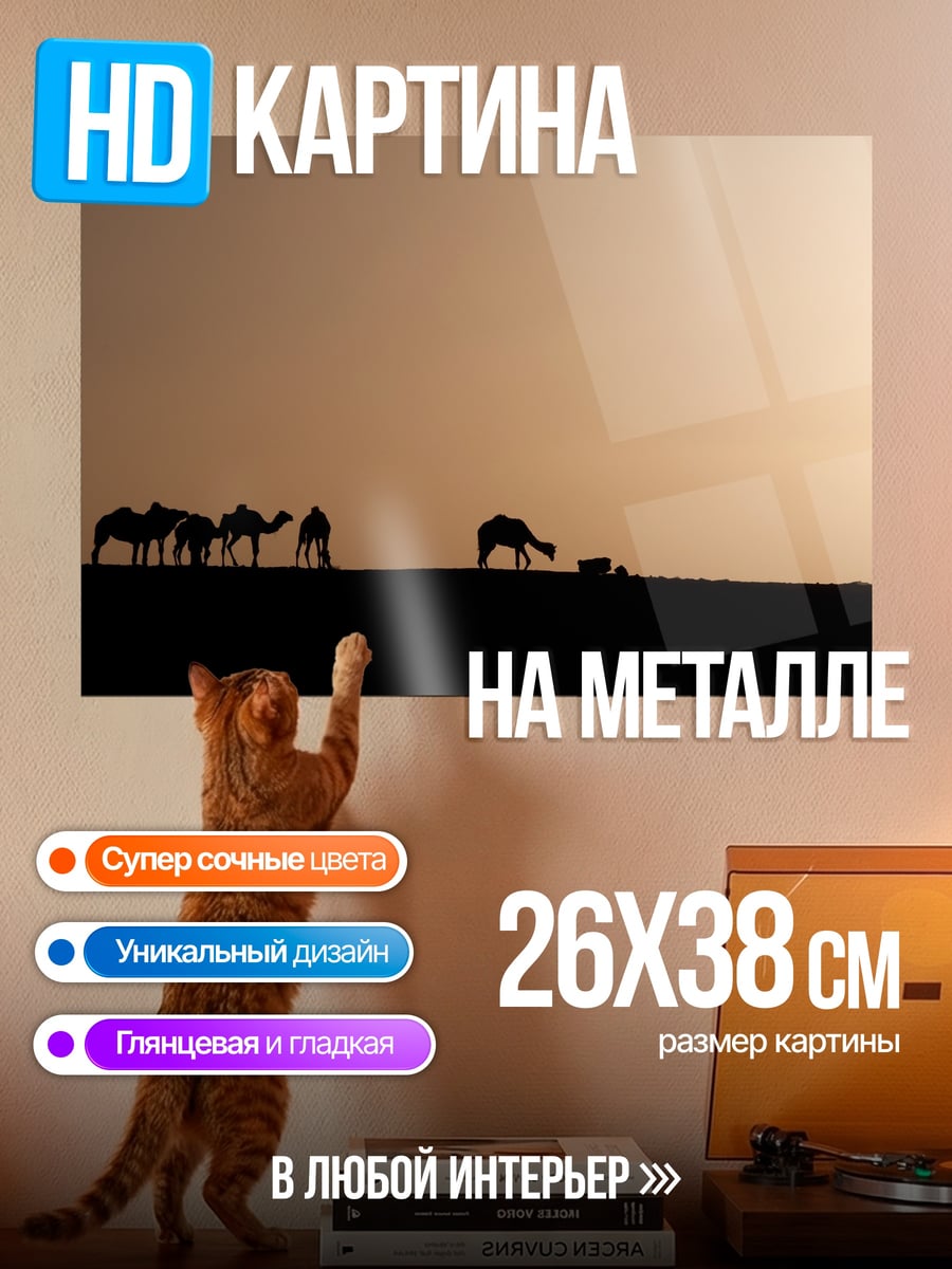 Картина на металле Караван в закате