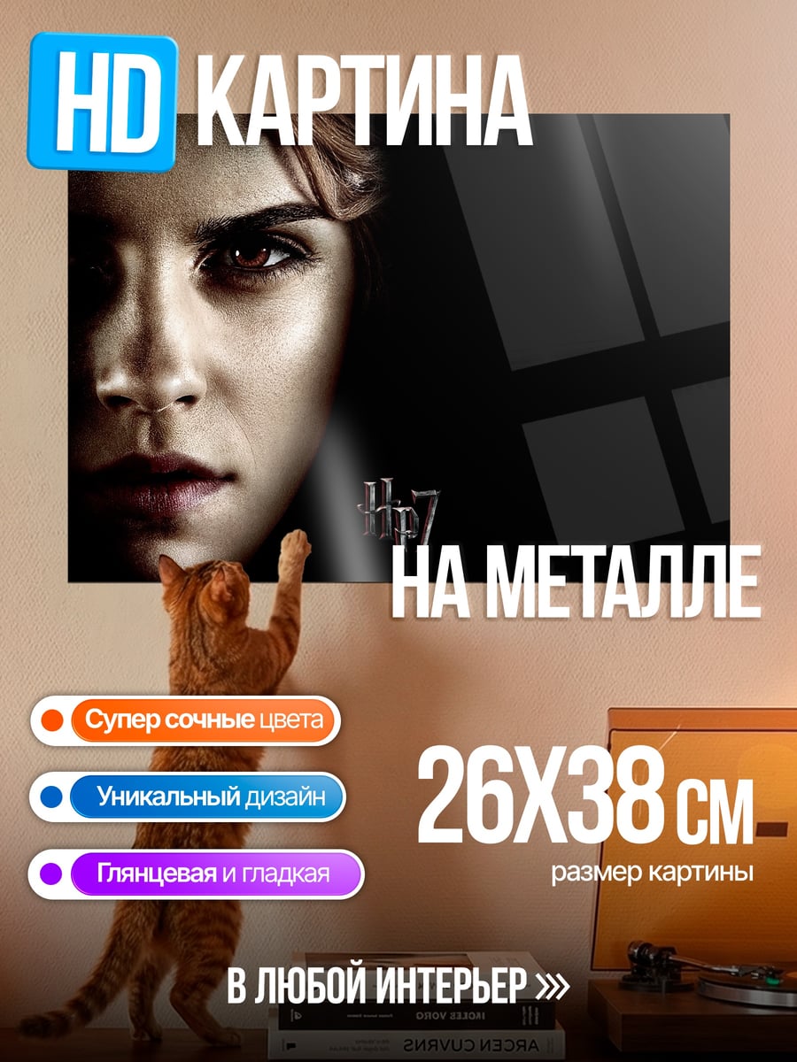 Картина на металле Гермиона Грейнджер Гарри Поттер