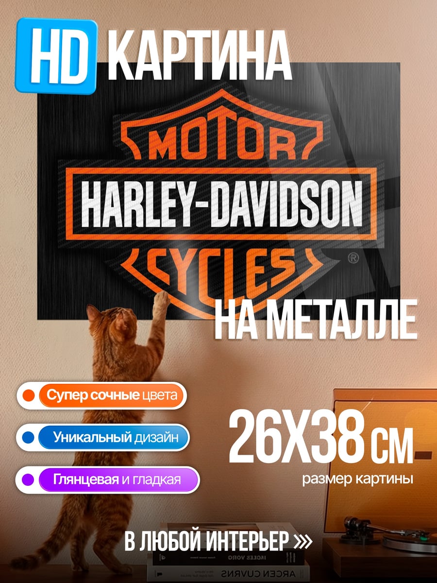 Картина на металле Логотип Harley-Davidson