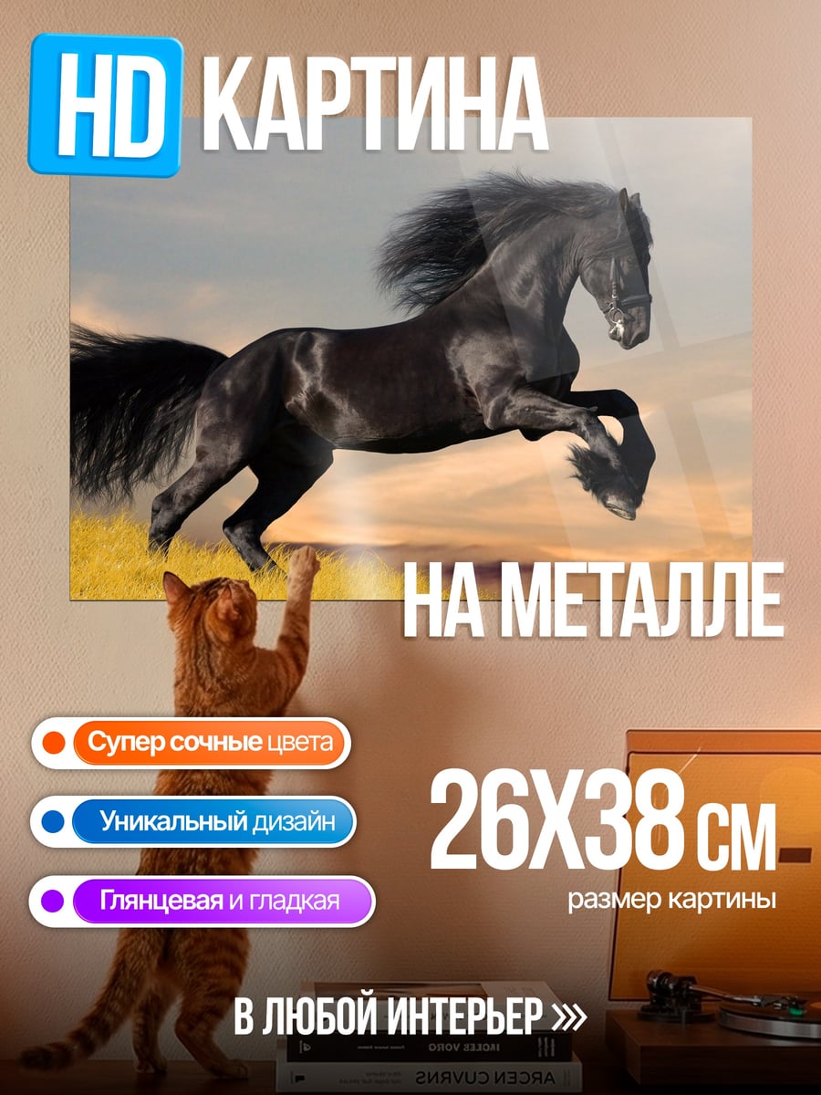 Картина на металле Черный конь на закате