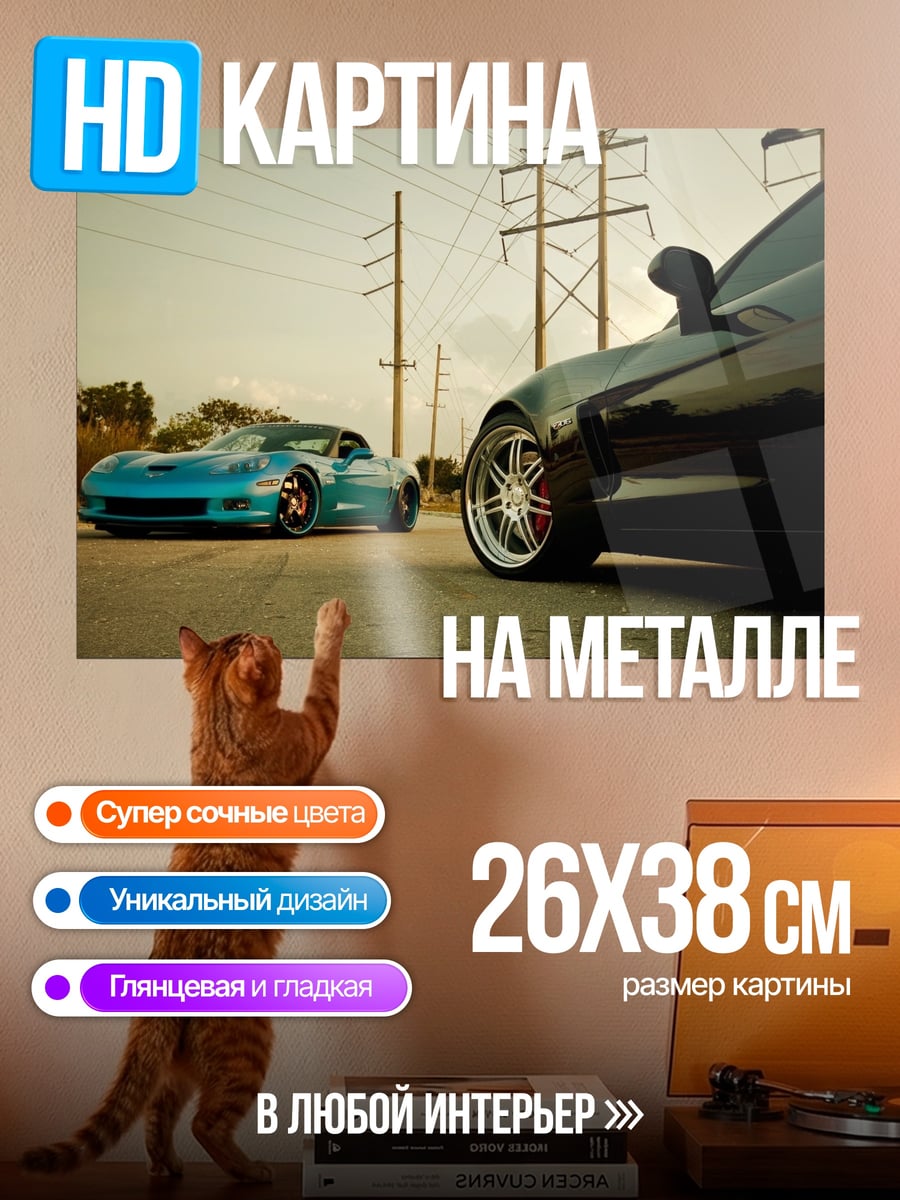 Картина на металле Два спорткара