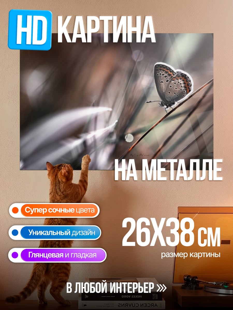 Картина на металле Бабочка на траве