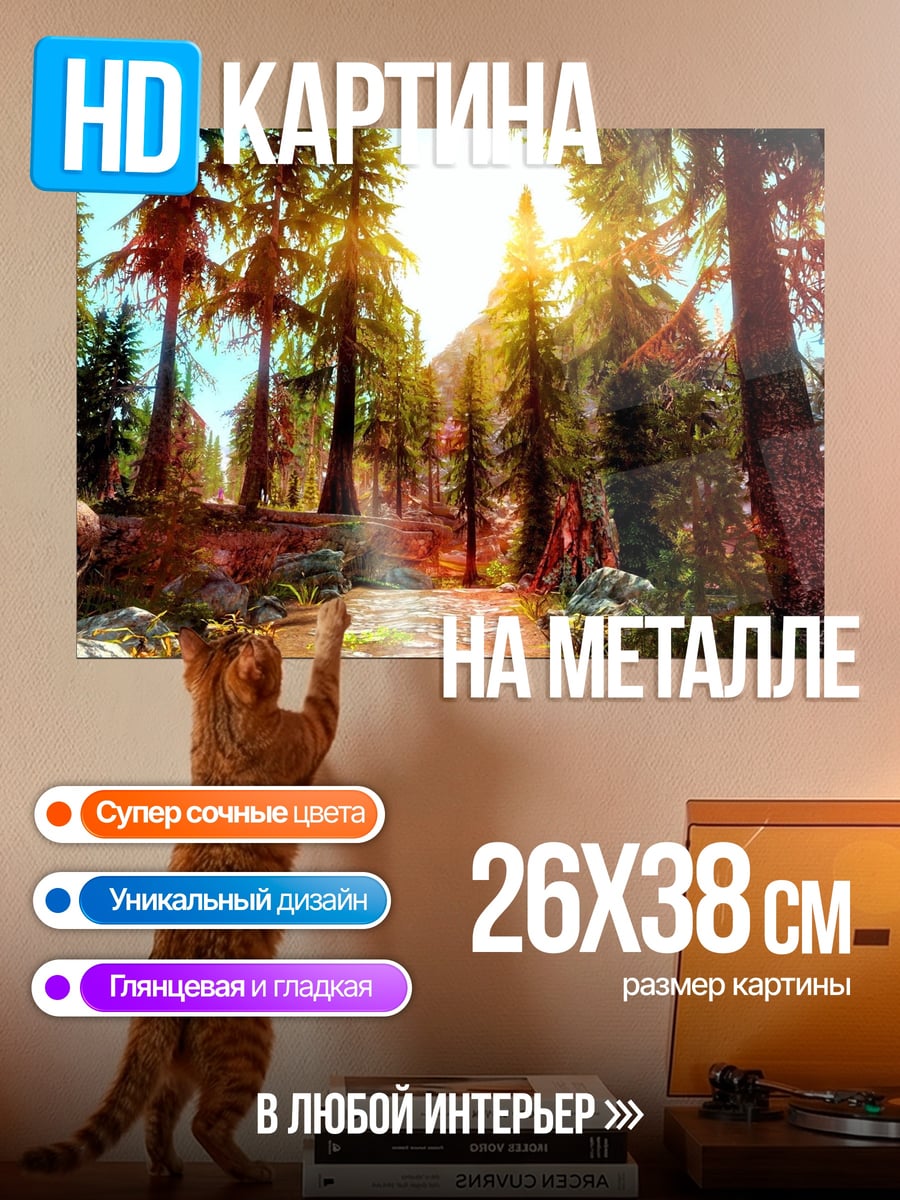 Картина на металле Лесная тропа закат