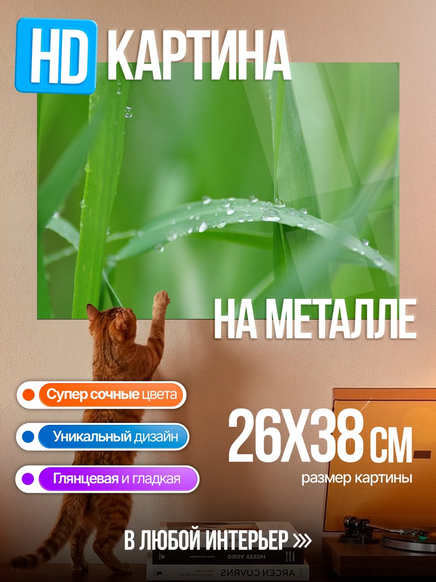 Картина на металле трава с каплями