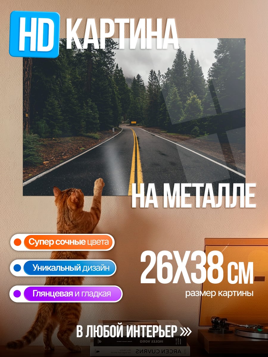 Картина на металле Дорога в лесу