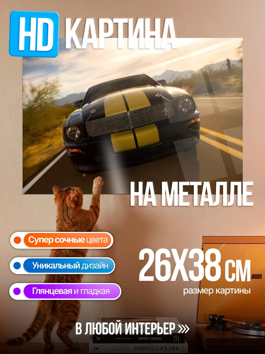 Картина на металле Спортивный автомобиль на дороге