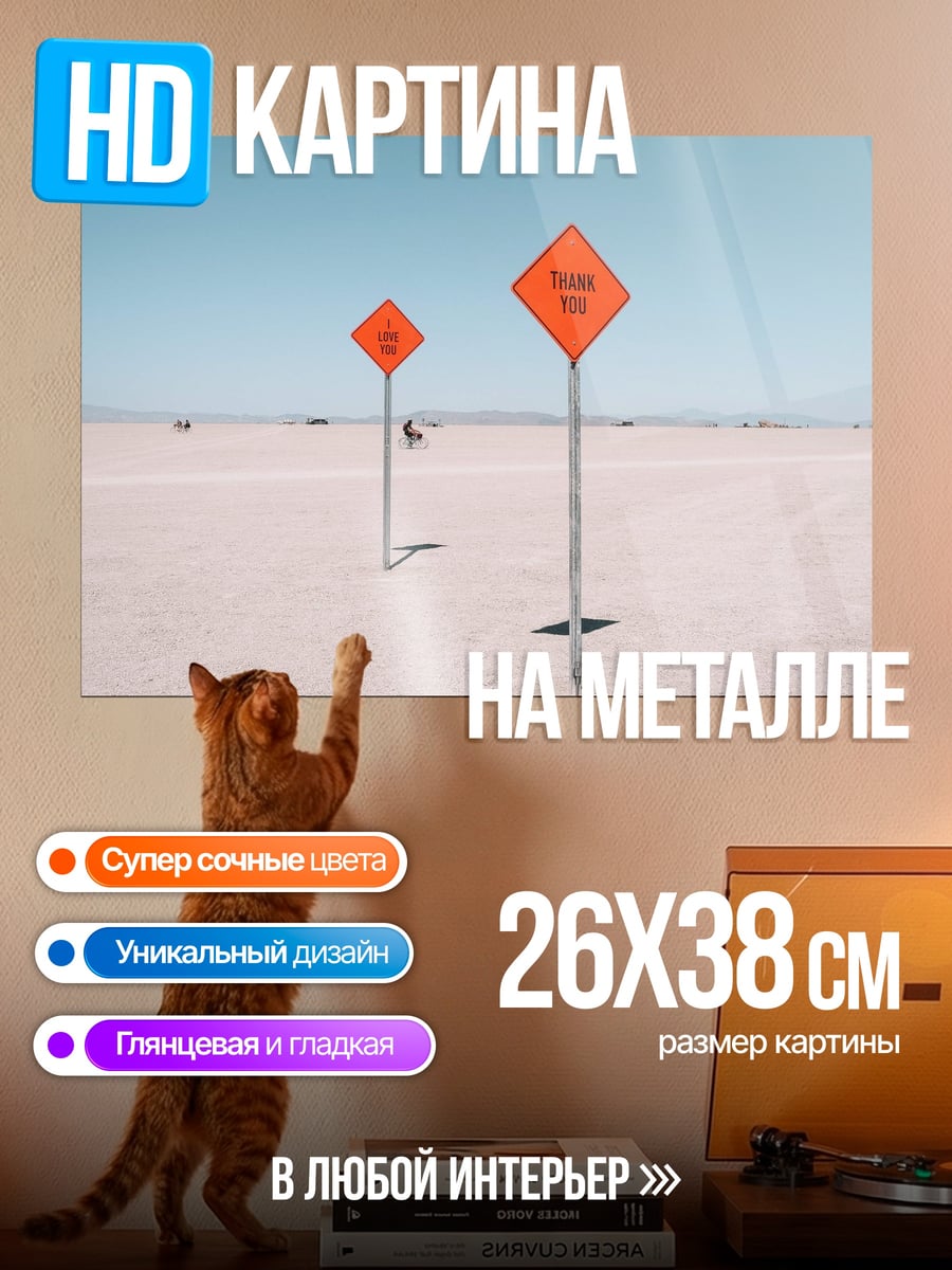 Картина на металле Дорожные знаки пустыни