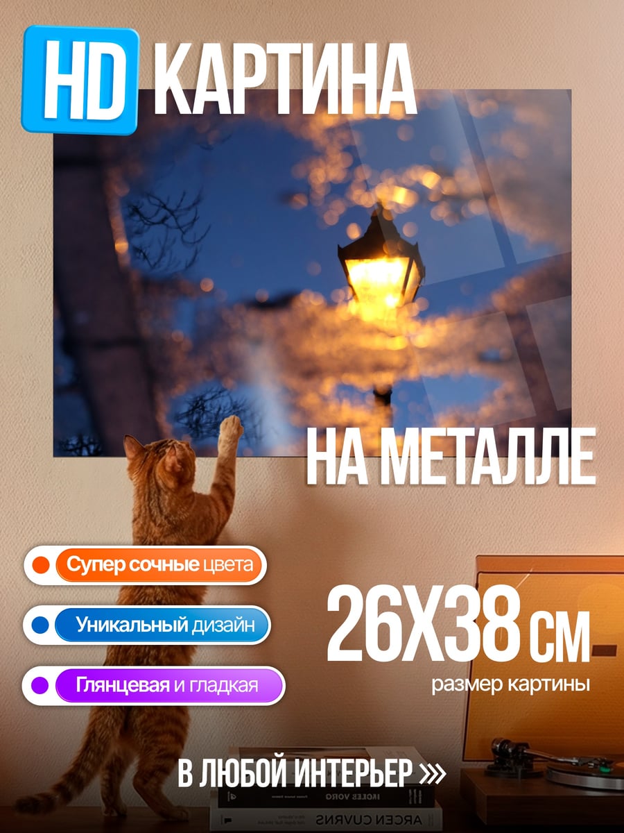 Картина на металле Фонарь в луже