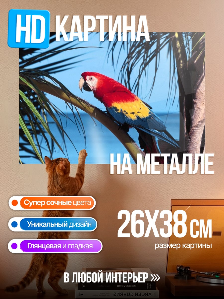 Картина на металле красный попугай пальма
