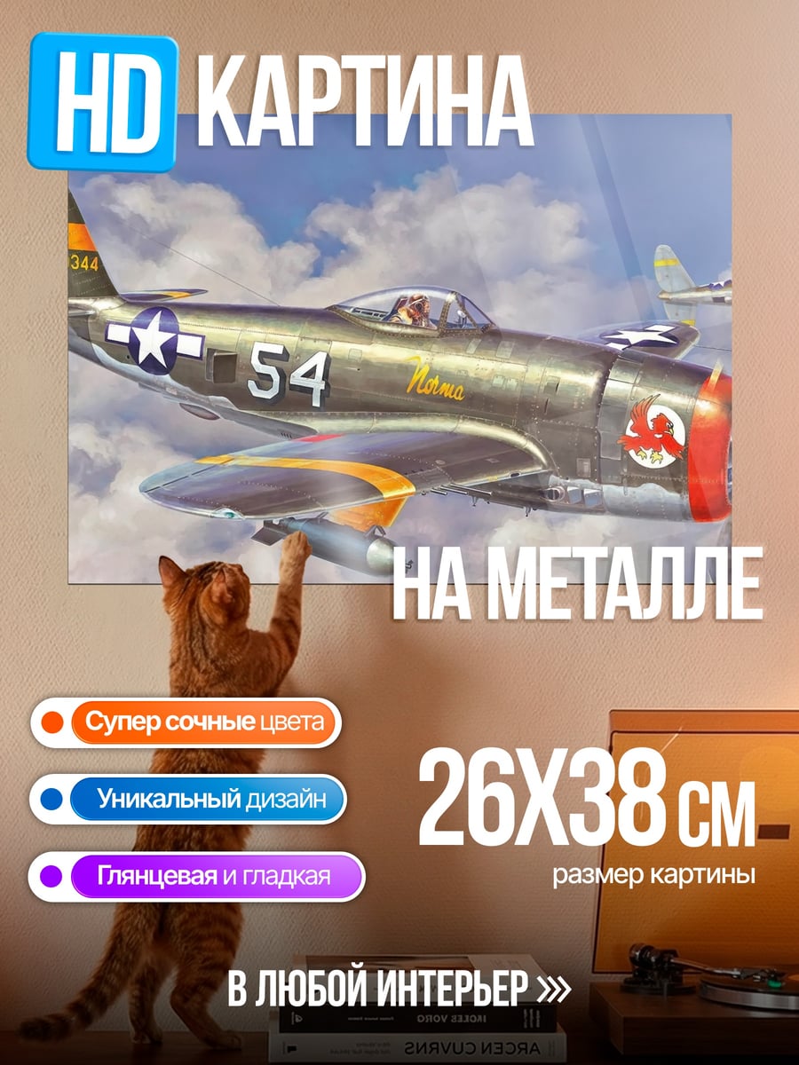 Картина на металле Военный самолет P-47