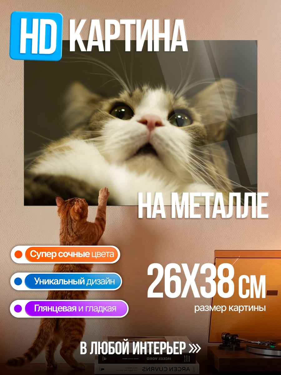 Картина на металле Кот смотрит вверх