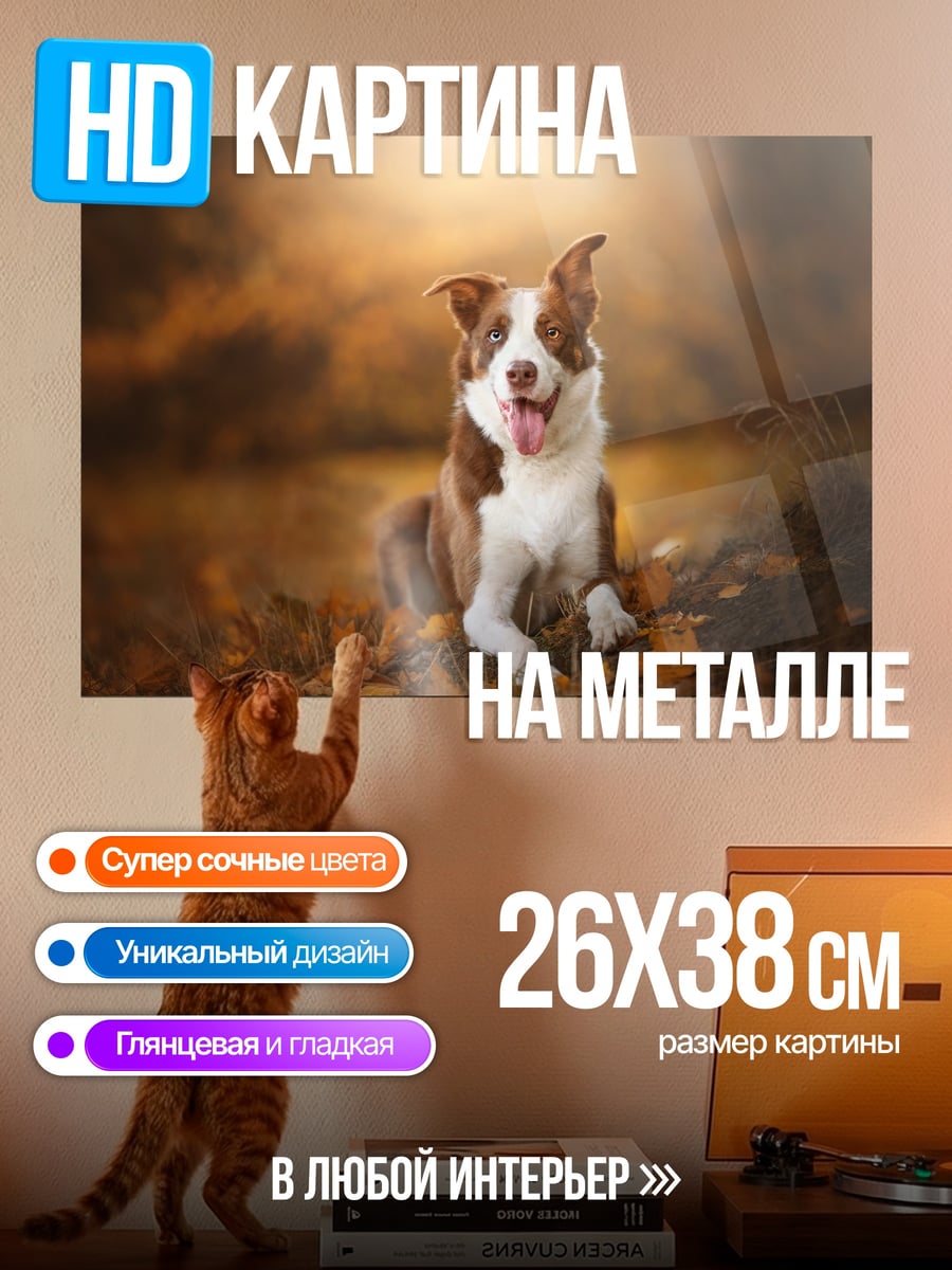 Картина на металле Собака в осеннем лесу