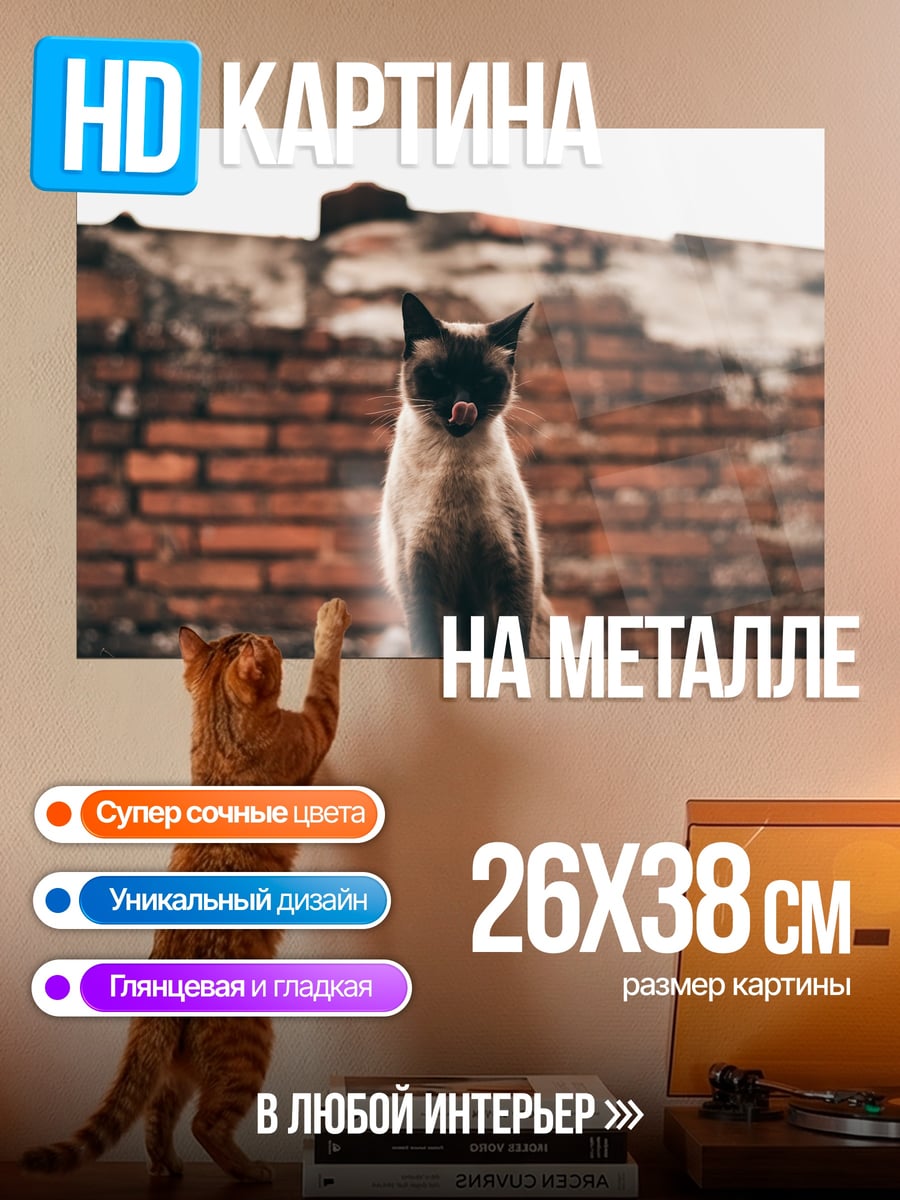 Картина на металле Кот на стене