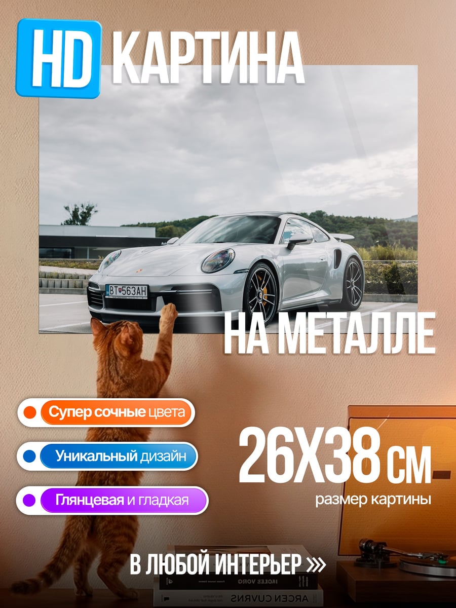 Картина на металле серебристый Porsche