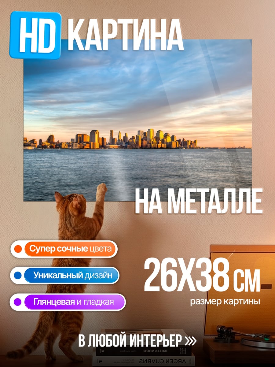 Картина на металле городской пейзаж на закате