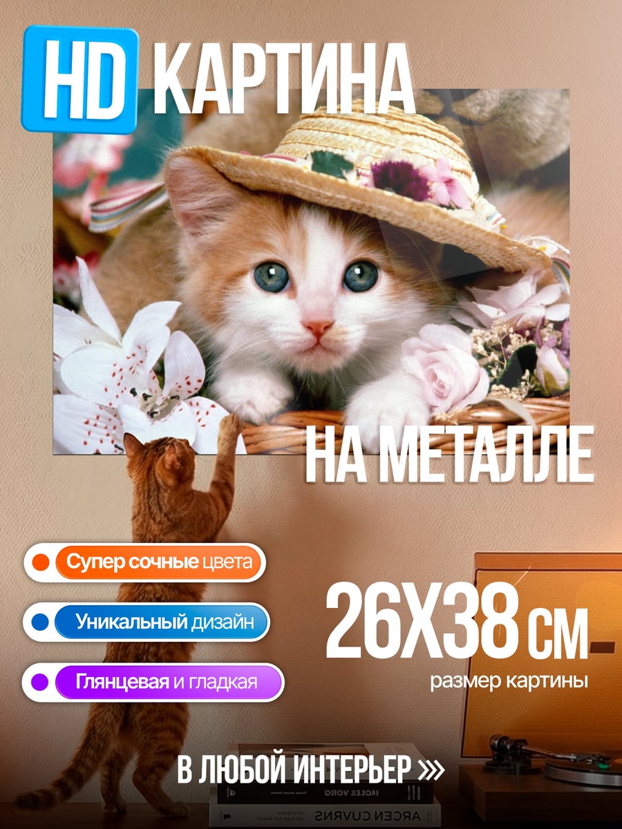 Картина на металле Котёнок в шляпе