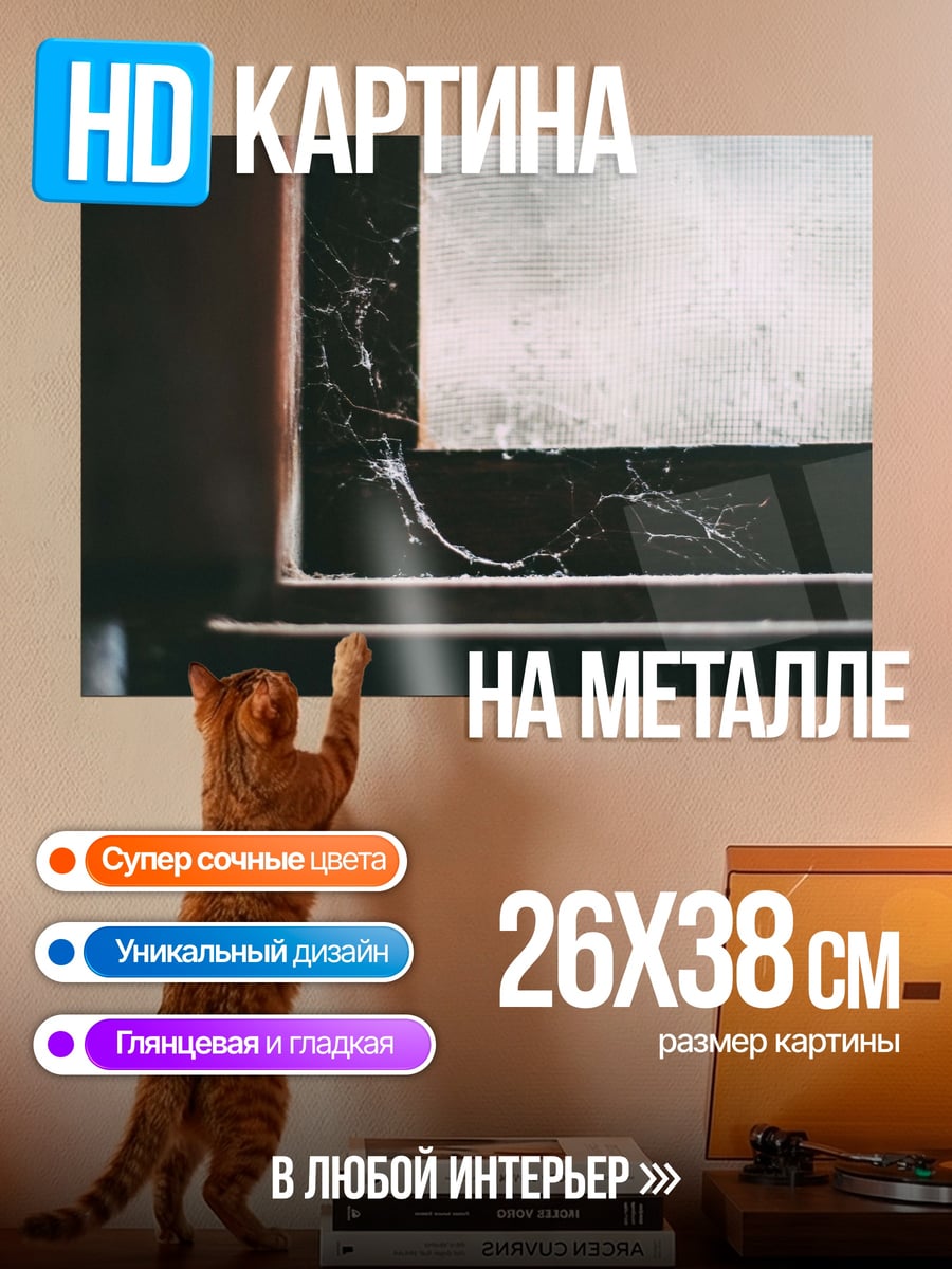 Картина на металле паутина в углу
