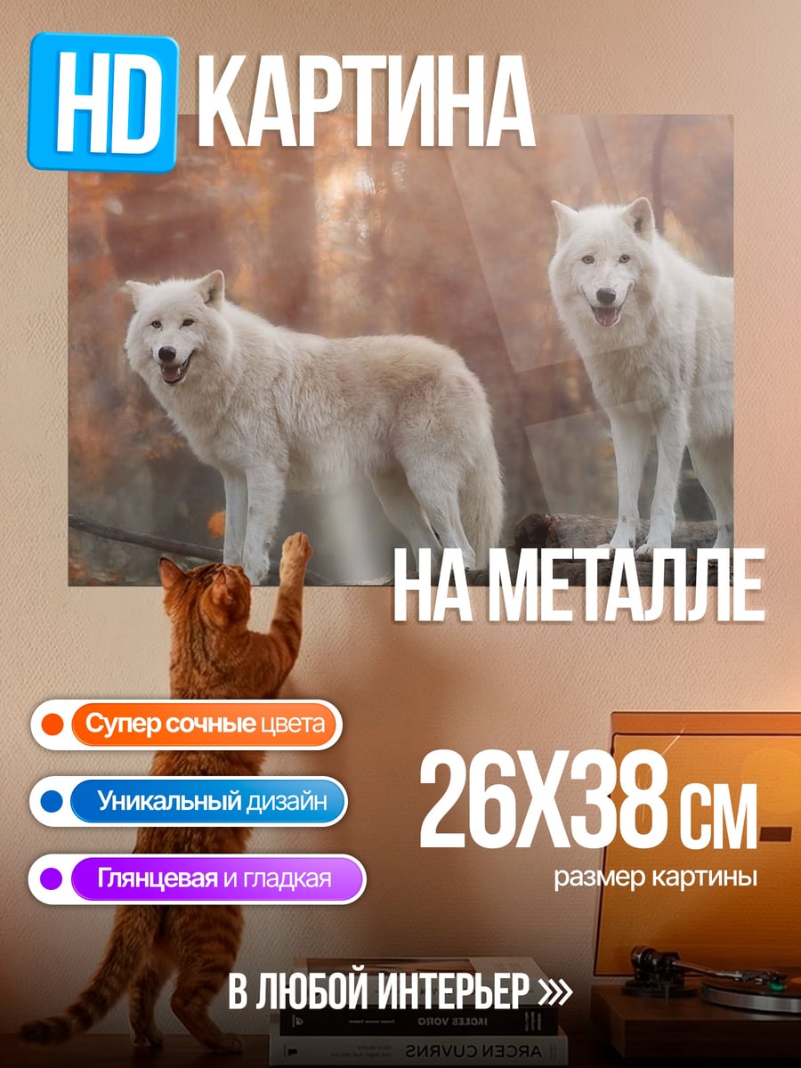 Картина на металле Белые волки в лесу