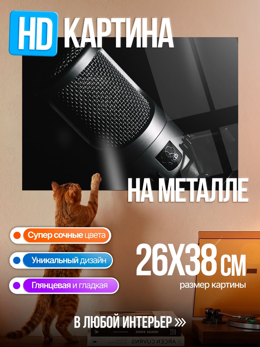 Картина на металле студийный микрофон