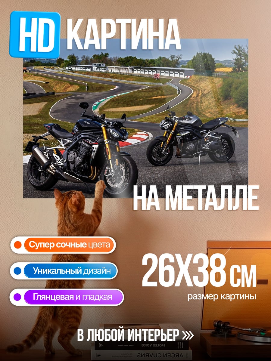 Картина на металле Спортивные мотоциклы