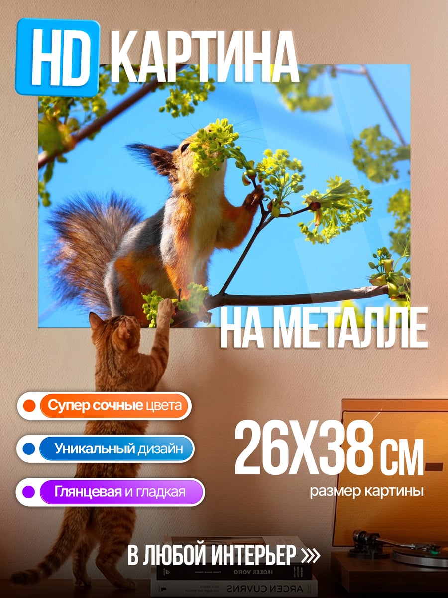Картина на металле Белка на ветке