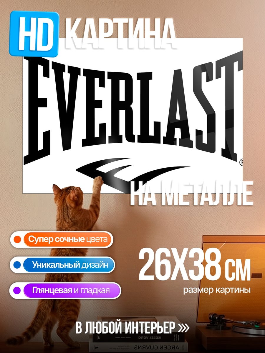 Картина на металле Логотип Everlast